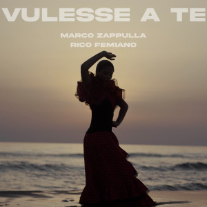 Album Vulesse a te from Marco Zappulla