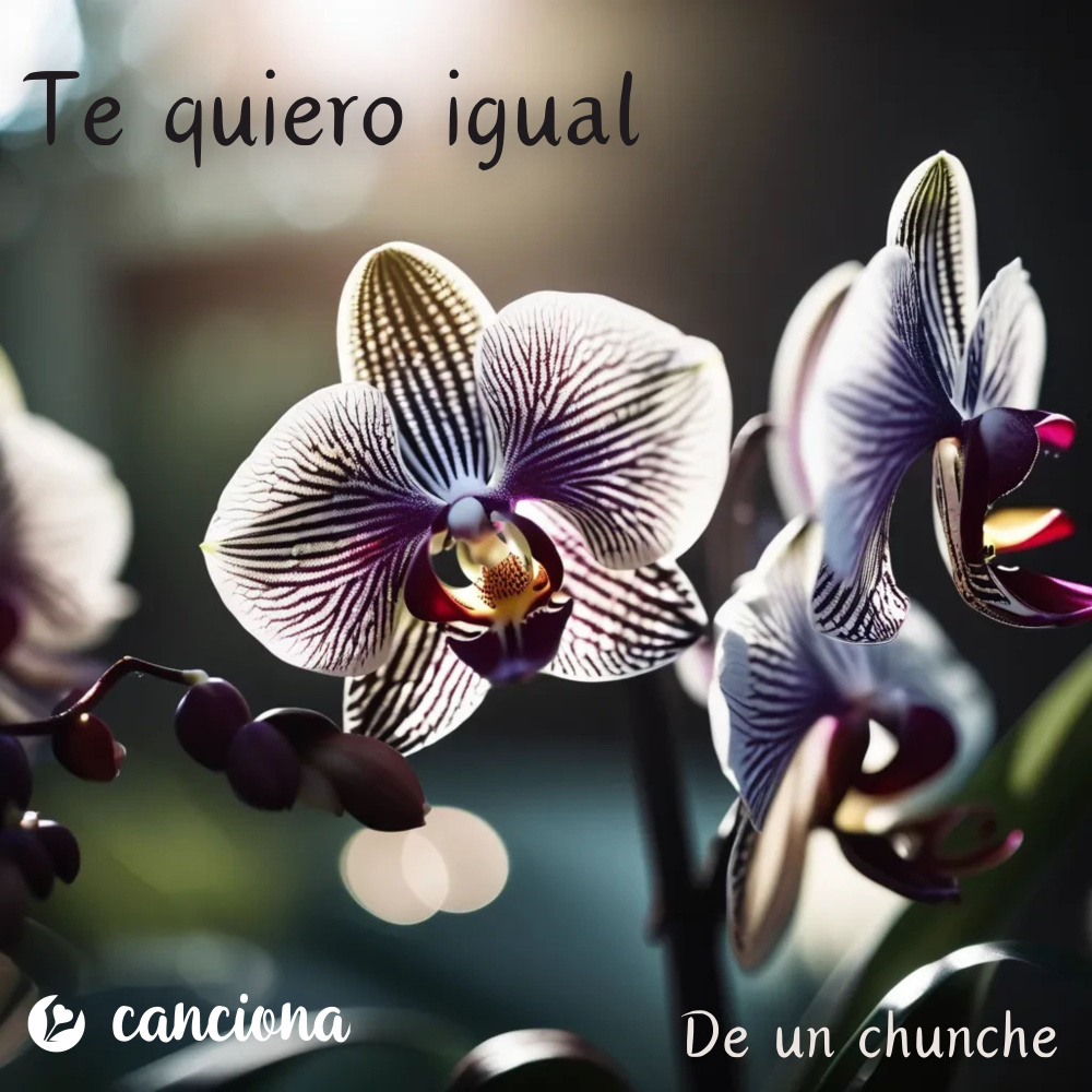 Te quiero igual
