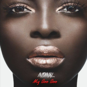 Listen to My Boo Boo song with lyrics from Indinal