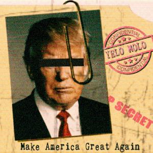 อัลบัม Make America Great Again ศิลปิน Yelo Molo