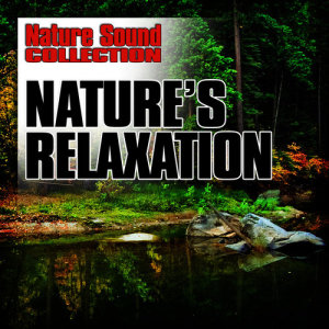 ดาวน์โหลดและฟังเพลง Late Evening in the Quiet Country พร้อมเนื้อเพลงจาก Nature Sound Collection