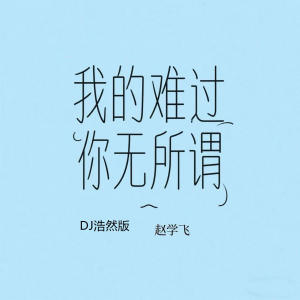 Listen to 我的难过你无所谓 (DJ浩然版) song with lyrics from 赵学飞