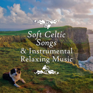 ดาวน์โหลดและฟังเพลง Sandra´s Song พร้อมเนื้อเพลงจาก Reinaissance Celtic Band