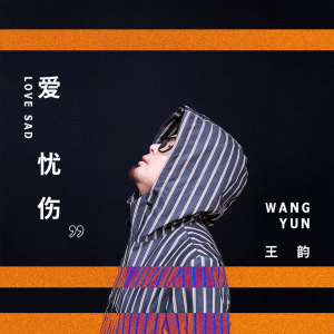 收聽王韻的愛憂傷 (伴奏)歌詞歌曲