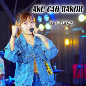 Listen to Aku Cah Bakoh song with lyrics from Putri Kristya