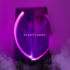Dengarkan Planta Roxa lagu dari BJBeatz dengan lirik
