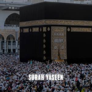 Album Surah Yaseen oleh Sheikh Maher Al Muaiqly