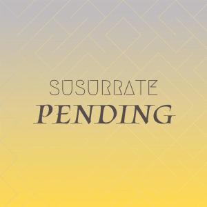 Various Artists的專輯Susurrate Pending