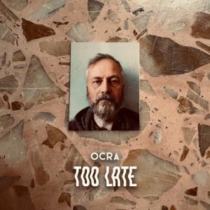 收聽Ocra的TOO LATE (feat. Naif) (Explicit)歌詞歌曲