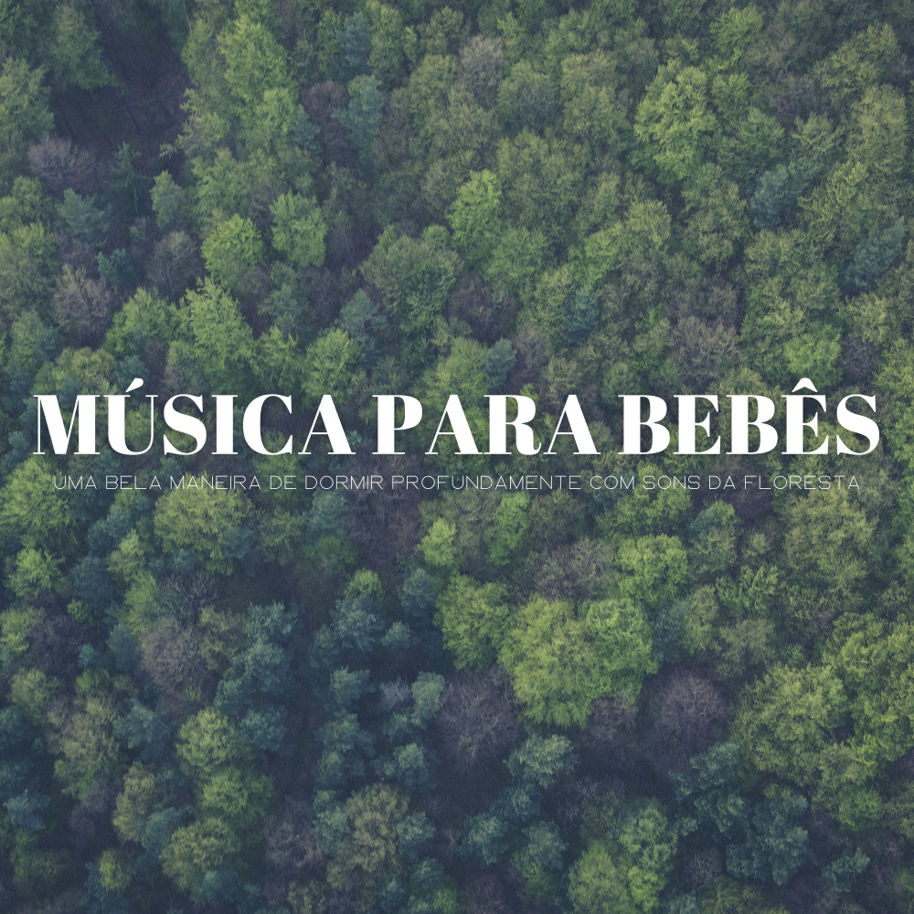 Tempos De Paz
