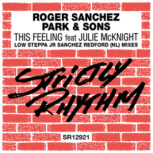 ดาวน์โหลดและฟังเพลง This Feeling (feat. Julie McKnight) (Junior Sanchez Dub) พร้อมเนื้อเพลงจาก Roger Sanchez