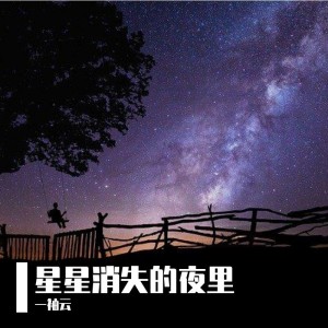Album 星星消失的夜里 from 