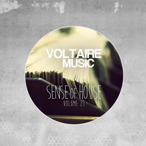 Album Sense Of House, Vol. 21 from Various