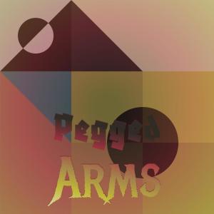 อัลบัม Pegged Arms ศิลปิน Various