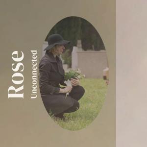 ดาวน์โหลดและฟังเพลง No one Beloved พร้อมเนื้อเพลงจาก Nane Prin