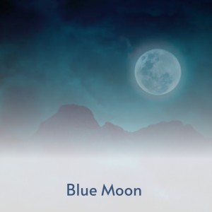 Listen to Annie Lee Blues song with lyrics from Robert Nighthawk