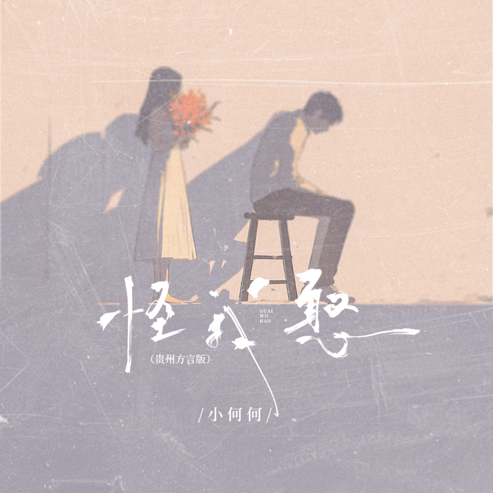怪我憨 (贵州方言版和声伴奏)