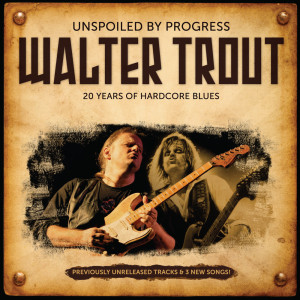 Unspoiled by Progress: 20 Years Of Hardcore Blues