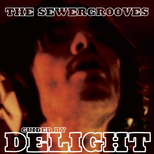 收聽The Sewergrooves的You Say It Fast but You Do It Too Slow歌詞歌曲