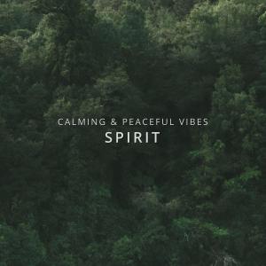 Album Spirit from Calming