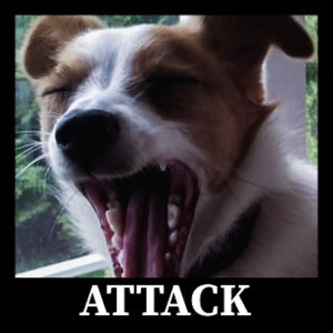 收聽Sander的Attack歌詞歌曲