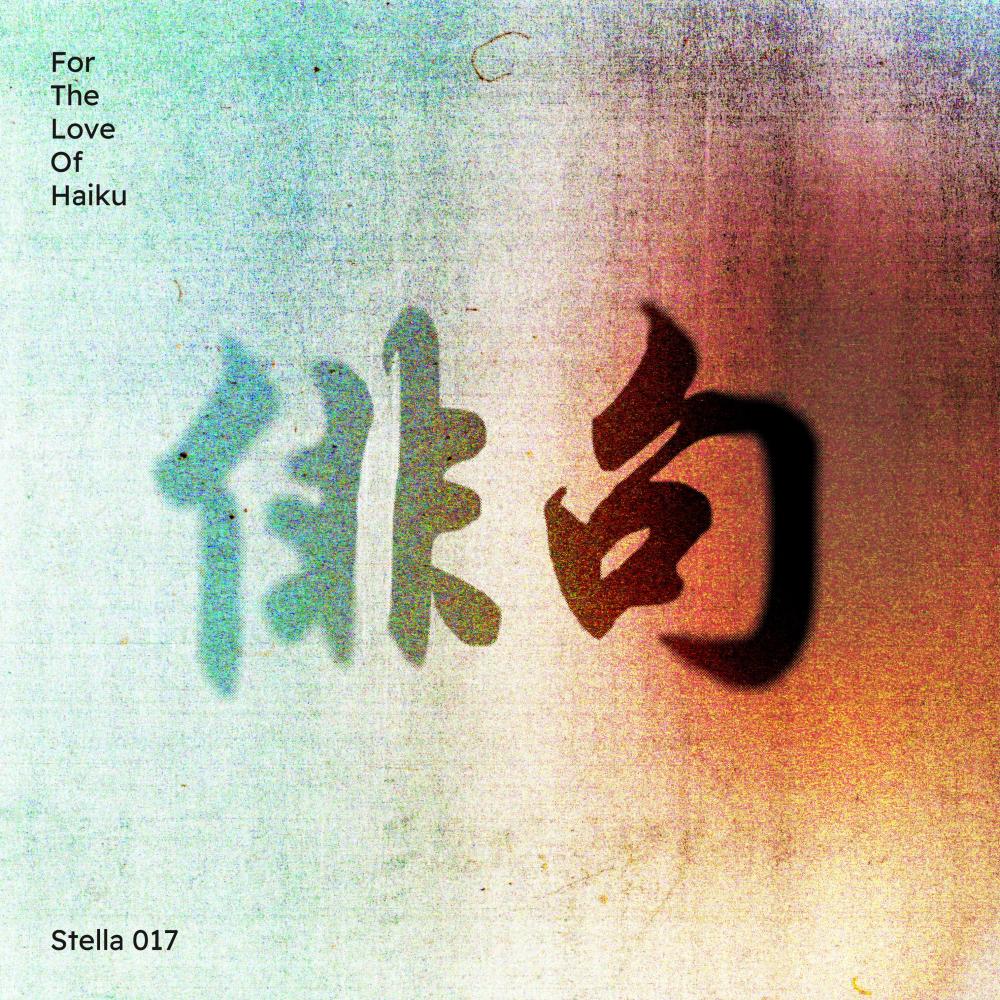 Pumped up Kicks (Pete Gooding'S Stella Polaris Remix)