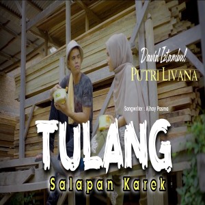 收听Putri Livana的Tulang Salapan Karek歌词歌曲
