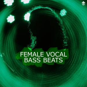 Various Artists的專輯Female Vocal Bass Beats