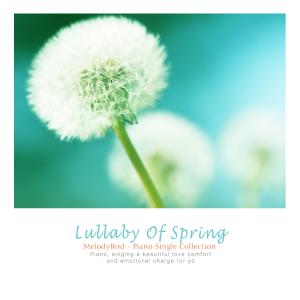 Listen to Bright And Beautiful Smile song with lyrics from 멜로디버드