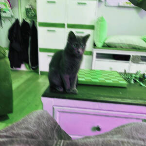 default playlist img