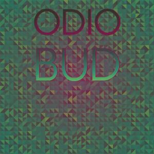 Odio Bud dari Various