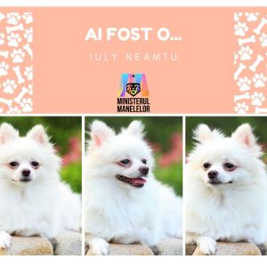 Album Ai fost o... from Iuly Neamtu