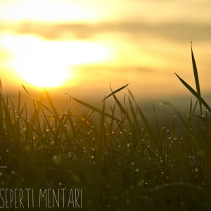 ดาวน์โหลดและฟังเพลง Seperti Mentari พร้อมเนื้อเพลงจาก My Music Story