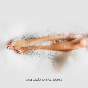 Listen to Dobro njegovana žena song with lyrics from Jazz Music Zone