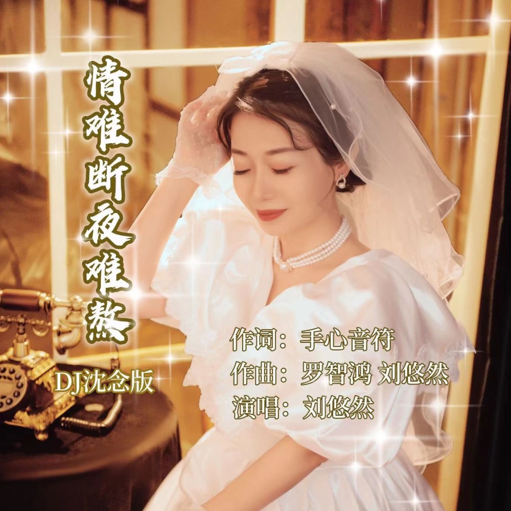 情难断夜难熬（DJ沈念版） (伴奏)