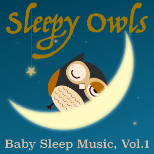 ดาวน์โหลดและฟังเพลง Twinkle Twinkle Little Star (Remastered) พร้อมเนื้อเพลงจาก Sleepy Owls