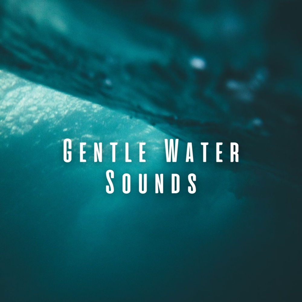 Serene Water Garden