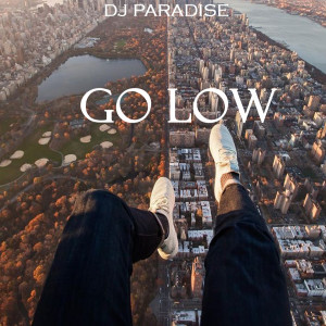 DJ Paradise的专辑Go low