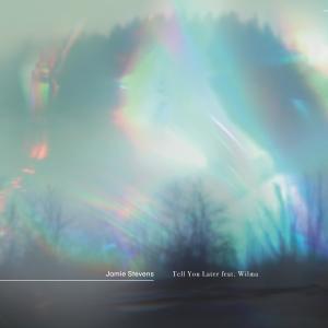 อัลบัม Tell You Later (feat. Wilma (AU)) [The Mixes] ศิลปิน Jamie Stevens