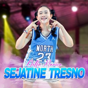 ดาวน์โหลดและฟังเพลง Sejatine Tresno พร้อมเนื้อเพลงจาก Della Monica