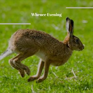 Various的专辑Whence Evening