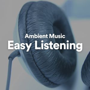 Relaxing Music的专辑Ambient Music Easy Listening