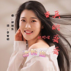 Album 当兵的哥哥你好傻 from 梁鸣珈