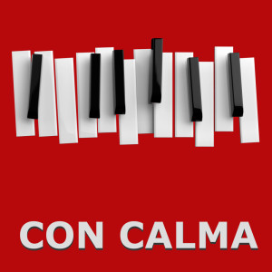 Listen to Con Calma (Piano Version) song with lyrics from Con Calma