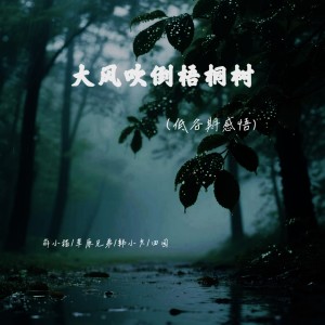 萌小貓的專輯大風吹倒梧桐樹（低谷期感悟）