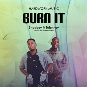 ดาวน์โหลดและฟังเพลง Burn It พร้อมเนื้อเพลงจาก Shad