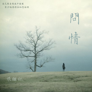 收聽張繼紅的問情 (內地版)歌詞歌曲