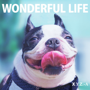 X.Y.Z.→A的專輯WONDERFUL LIFE