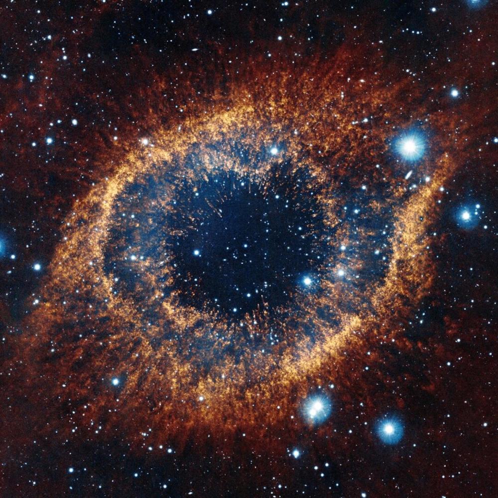 Nova