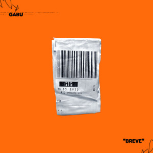 Album Breve from Gabu